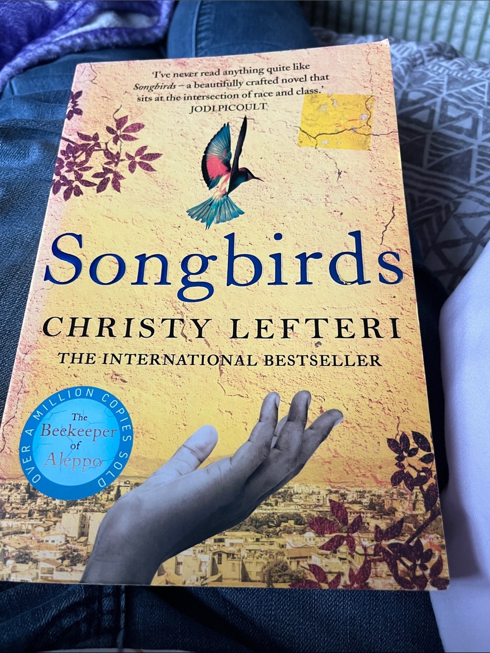 Songbirds Paperback novel by Christy Lefteri